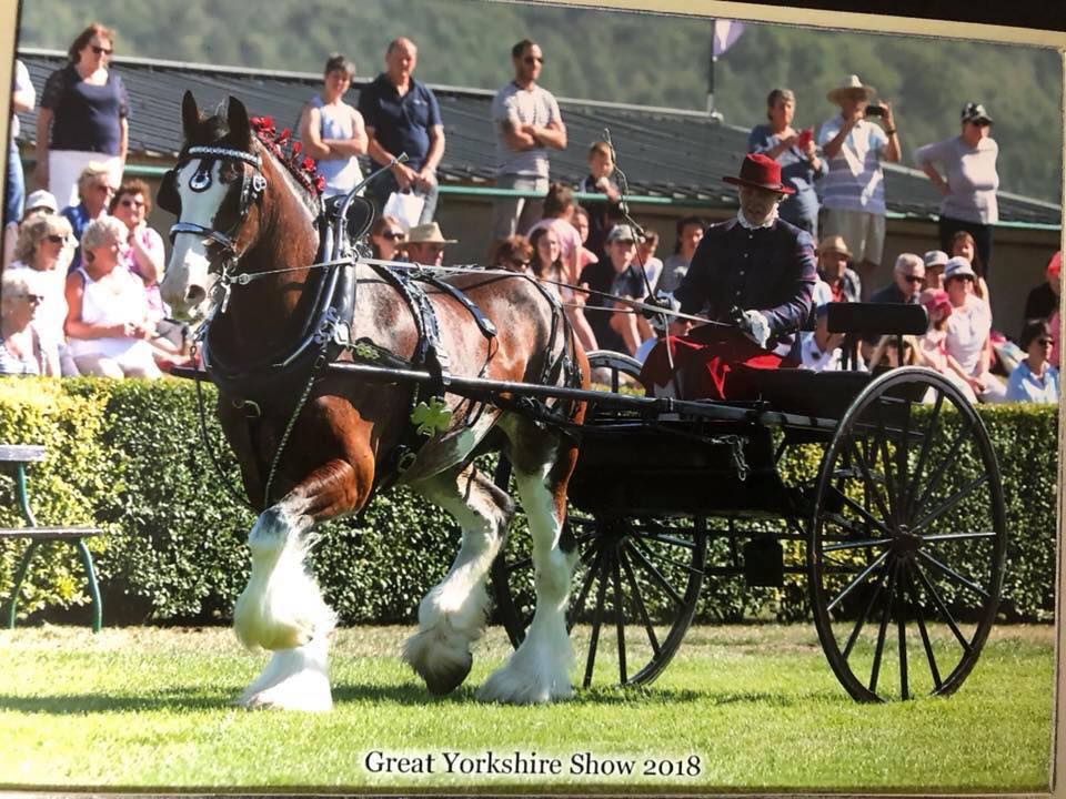 HAY FARM HEAVY HORSE CENTRE - Great Yorkshire Show